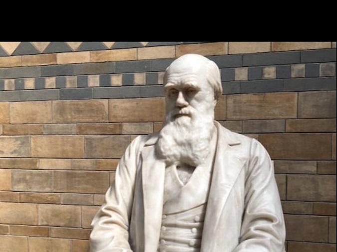 Statue of Charles Darwin at Natural History Museum in London