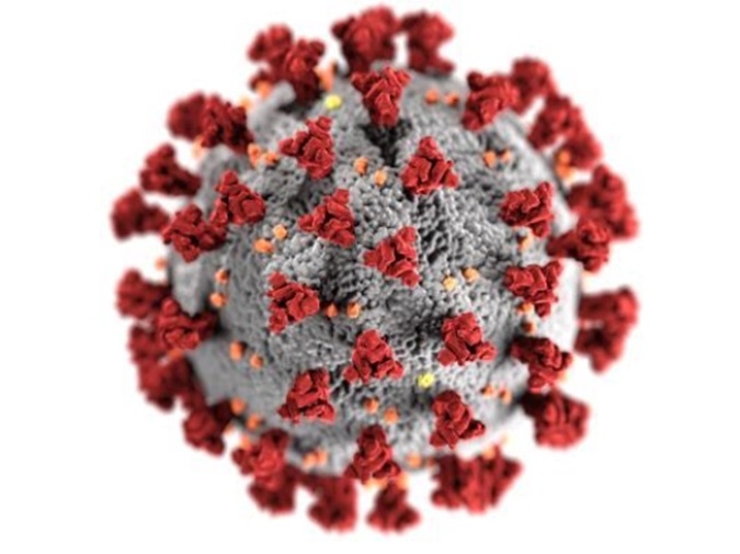 Coronavirus model