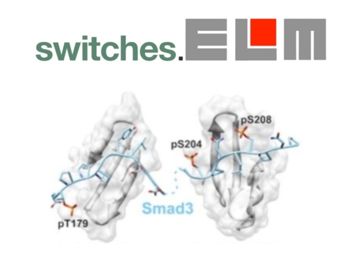 Switches.ELM logo and example pathway