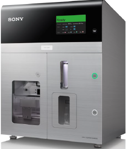 20251118 Sony SH800 Sony SH800