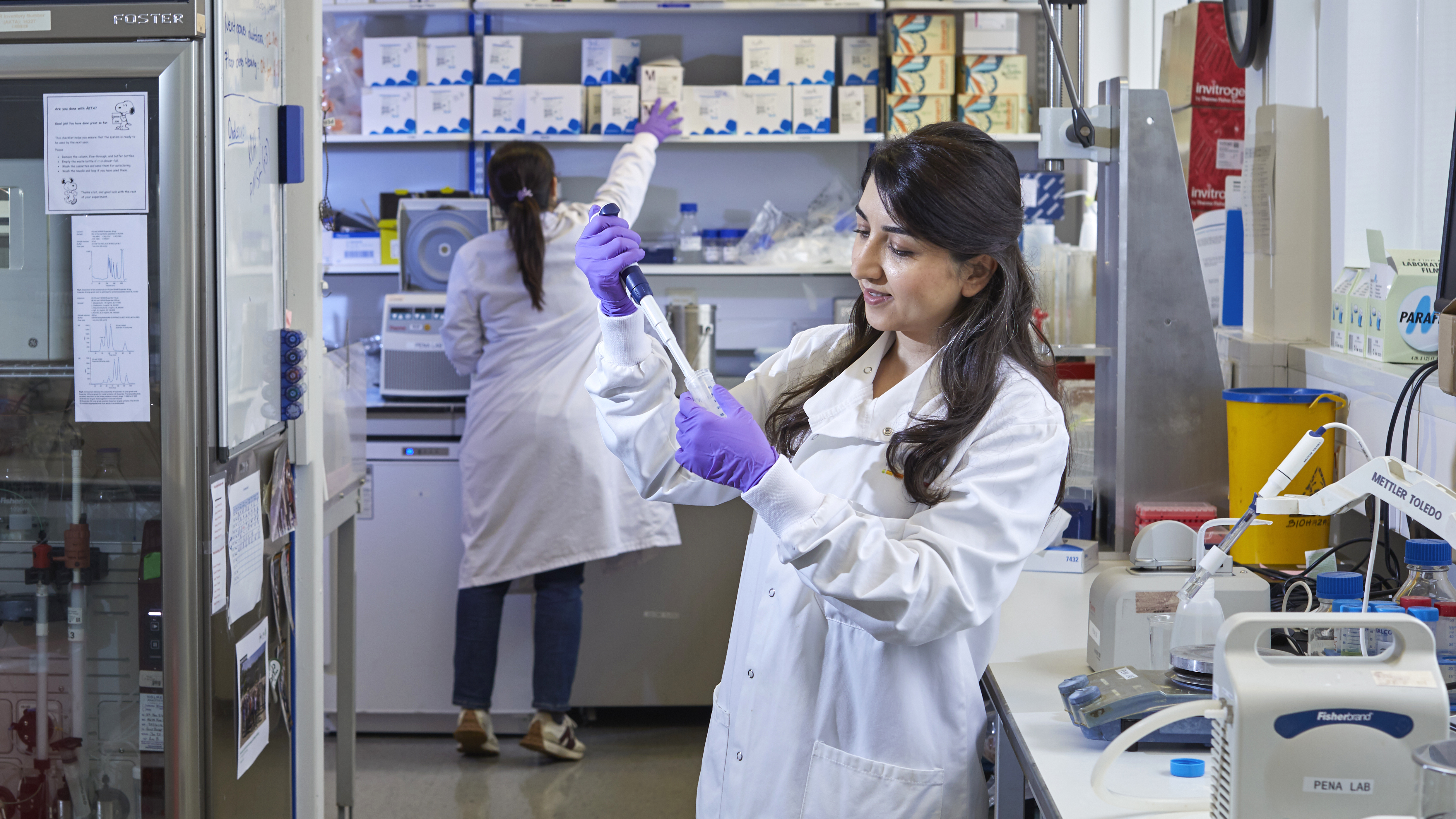 Scientists in the lab pipetting