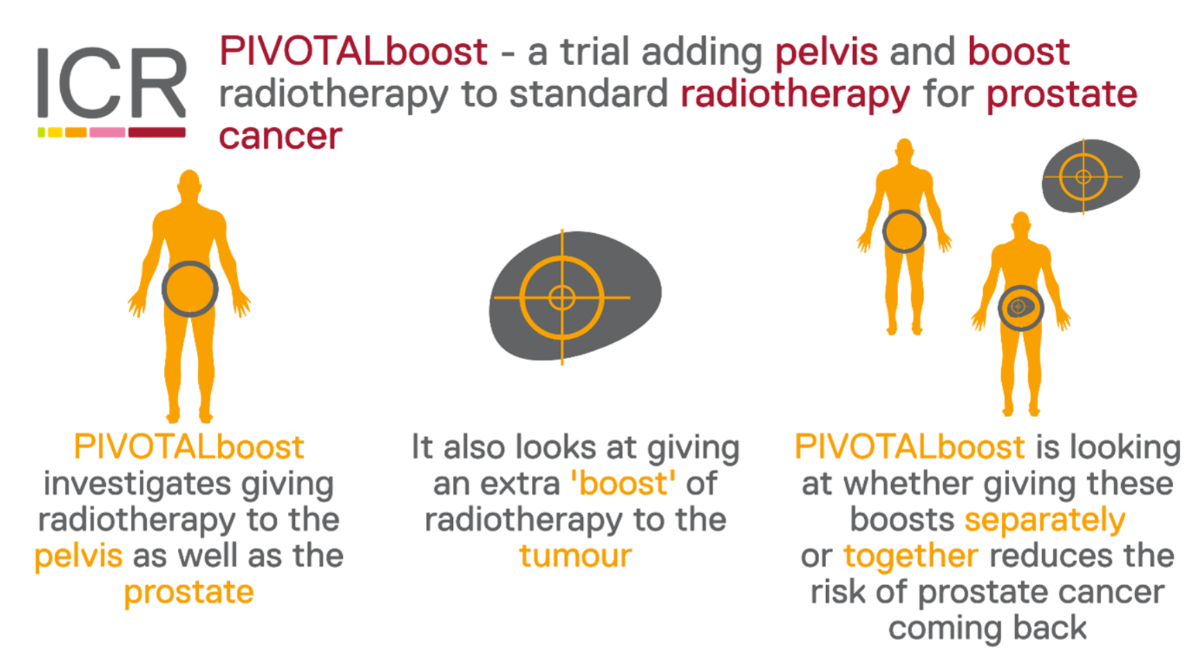 PIVOTALBOOST infographic