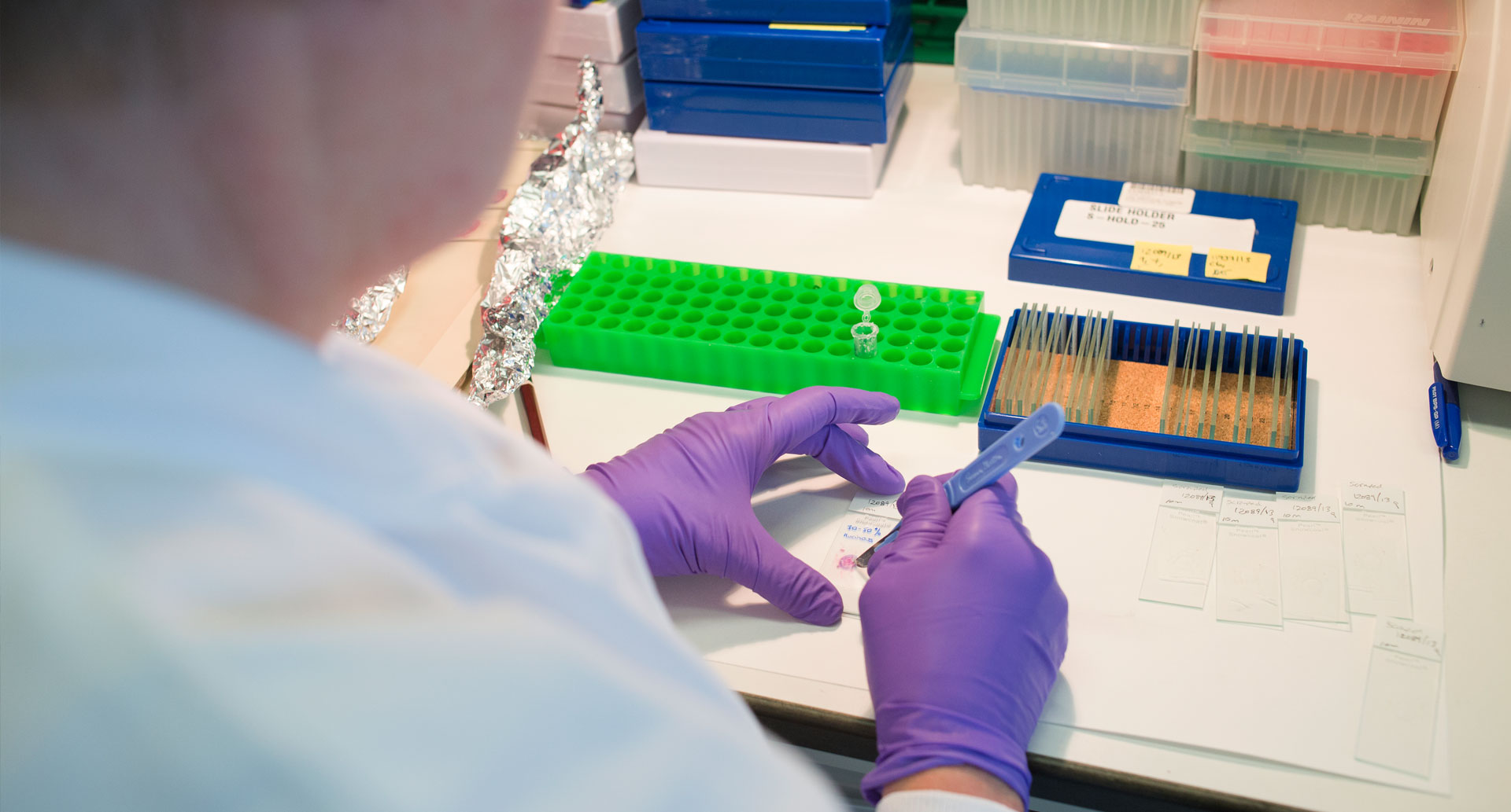 Researcher preparing a microscope slide at their workbench