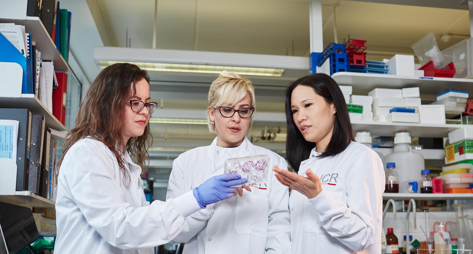 Three researchers in lab coats looking at a cell culture plate