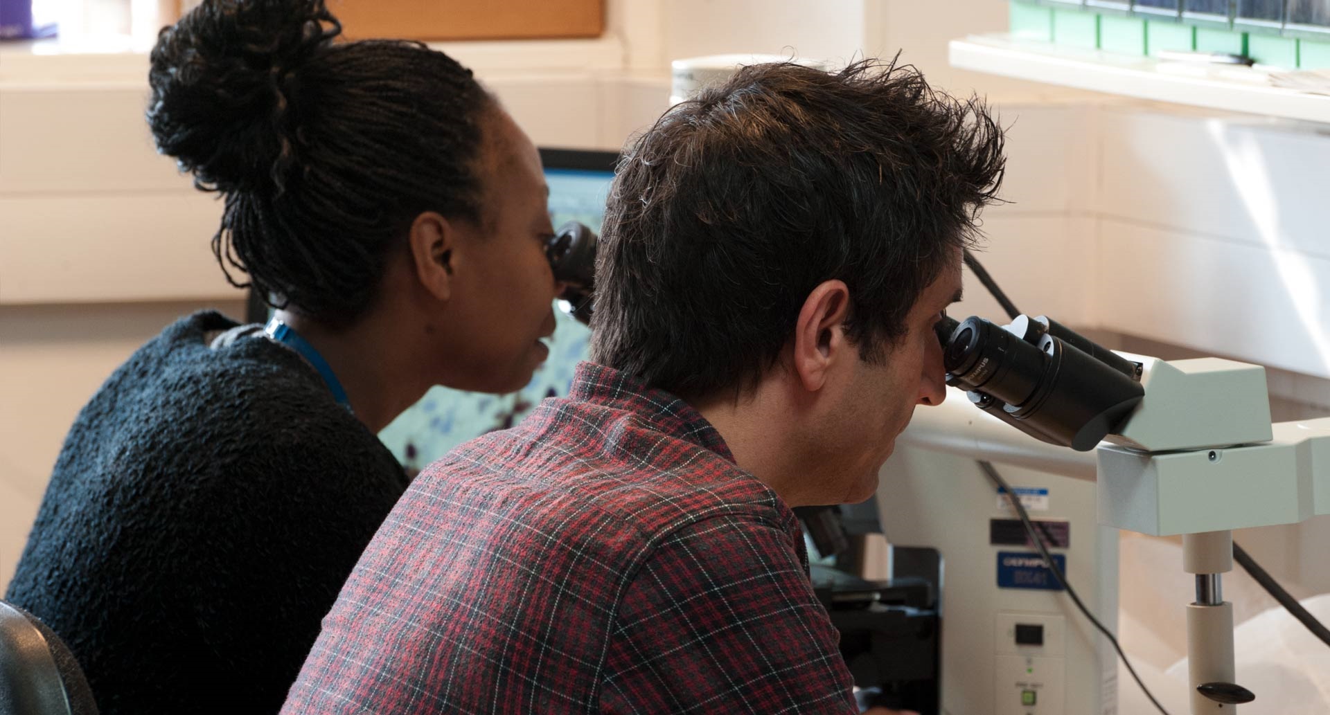 Two researchers examining samples on a microscope