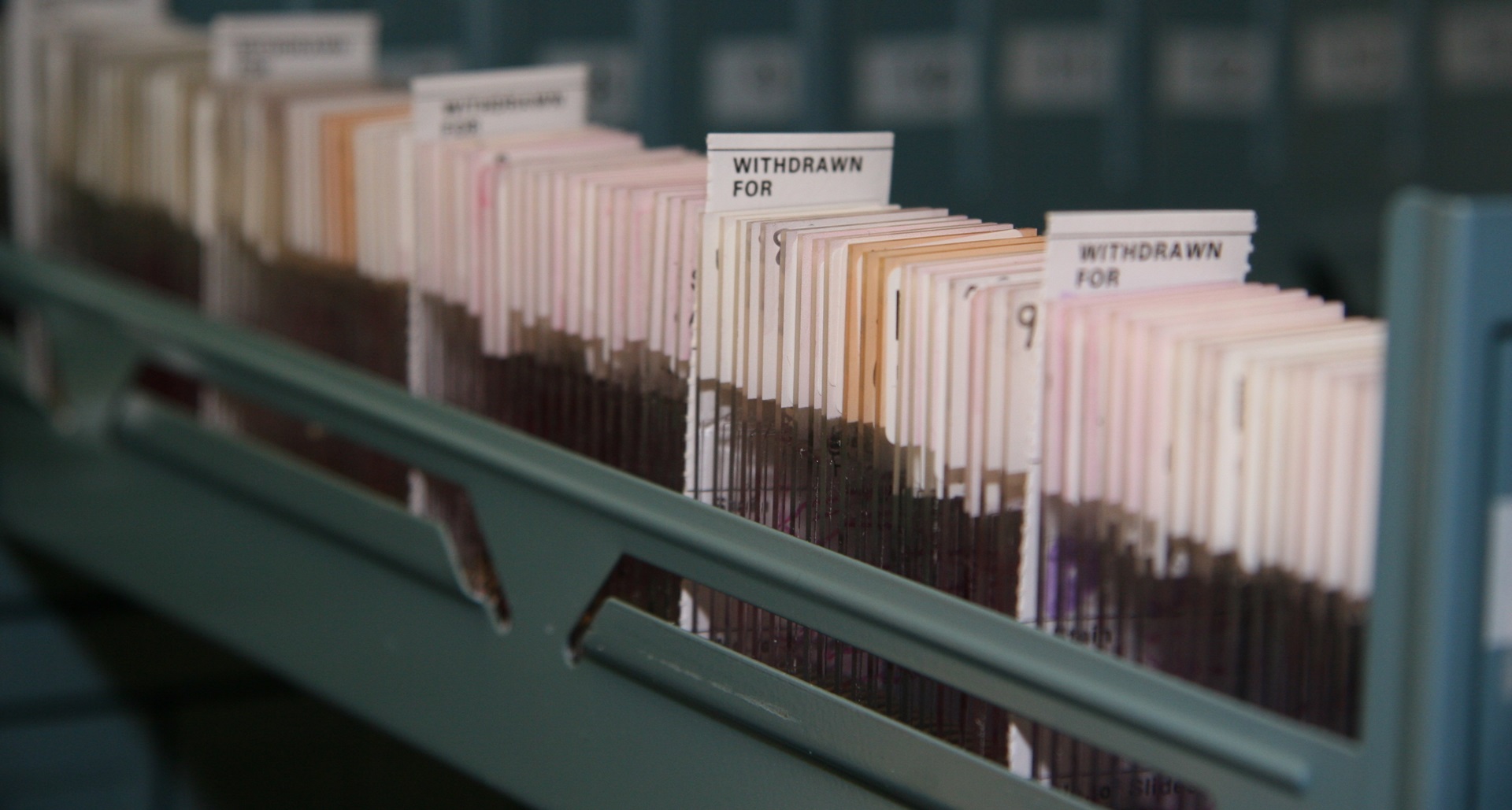 Filed histology slides