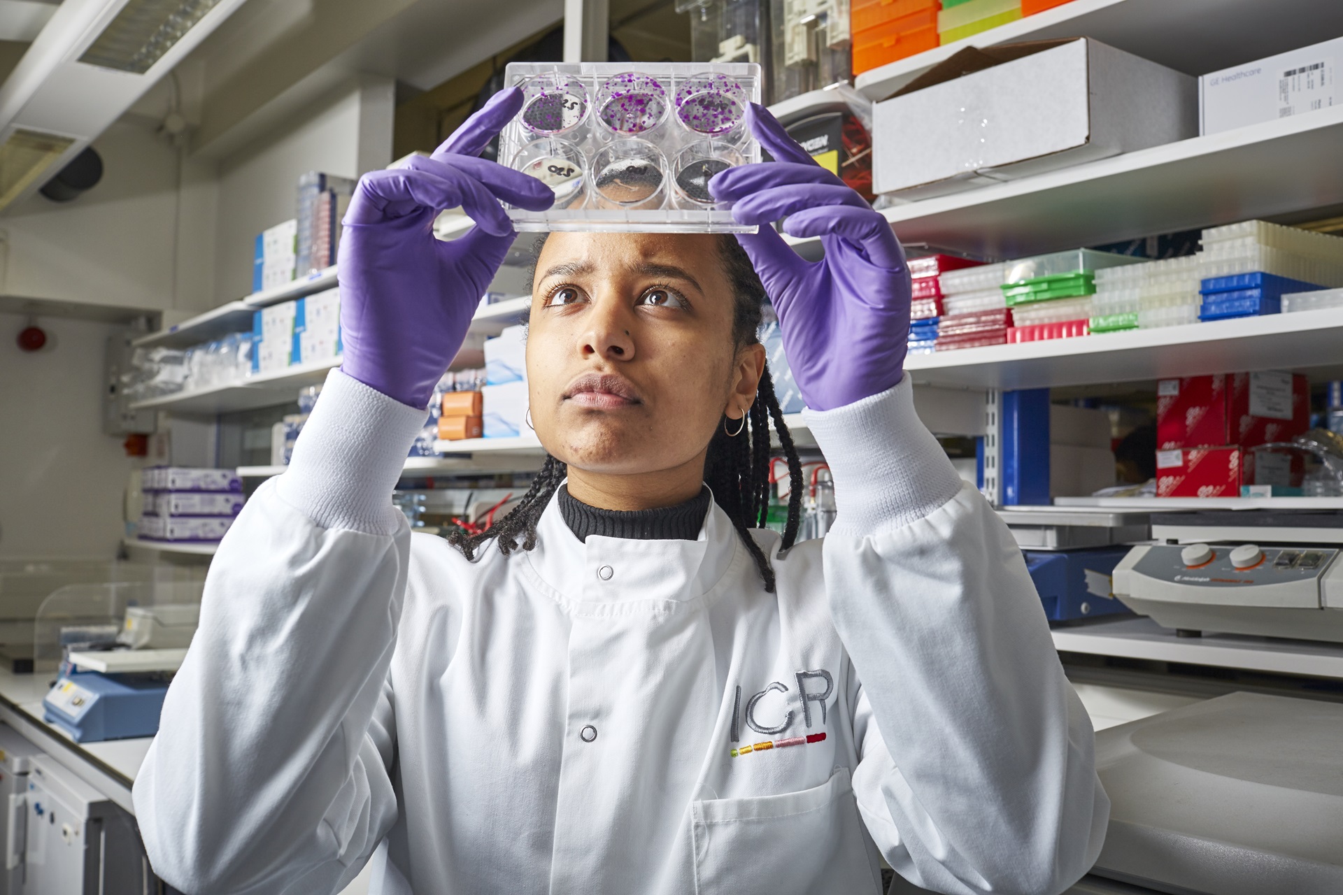 Scientist checking plates in the lab