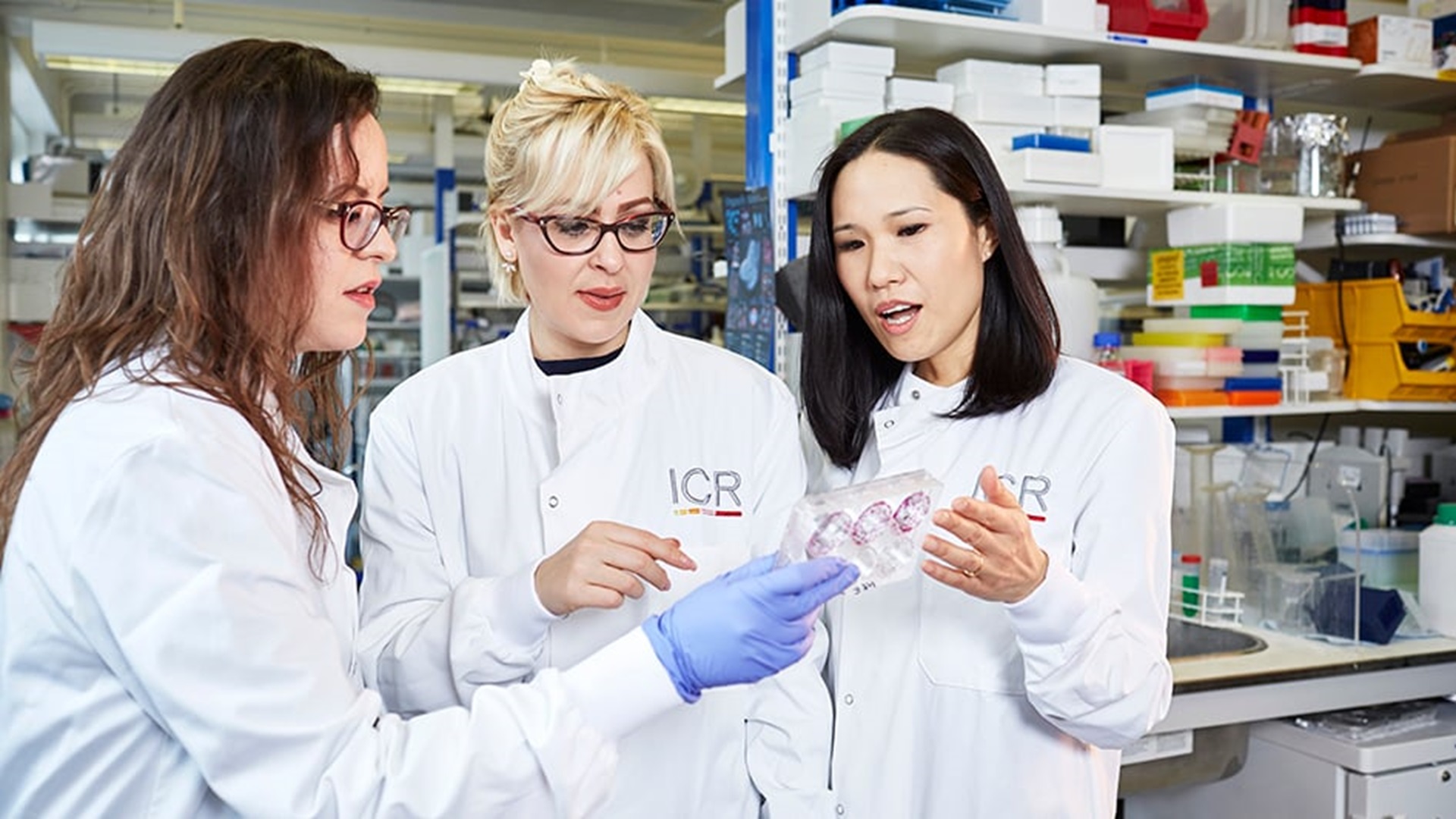 Three female scientists in the lab