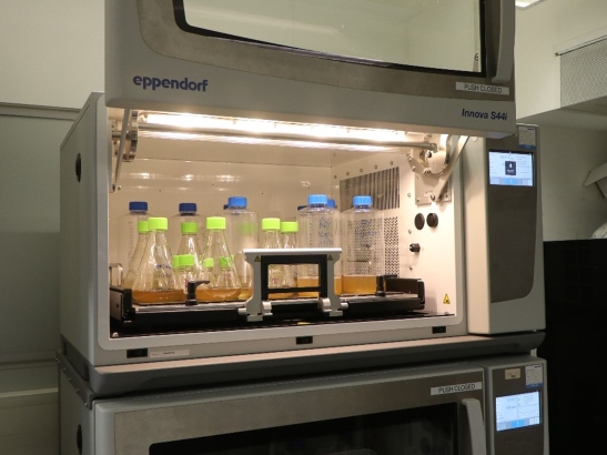 Shaker incubators, Innova S44i Eppendorf