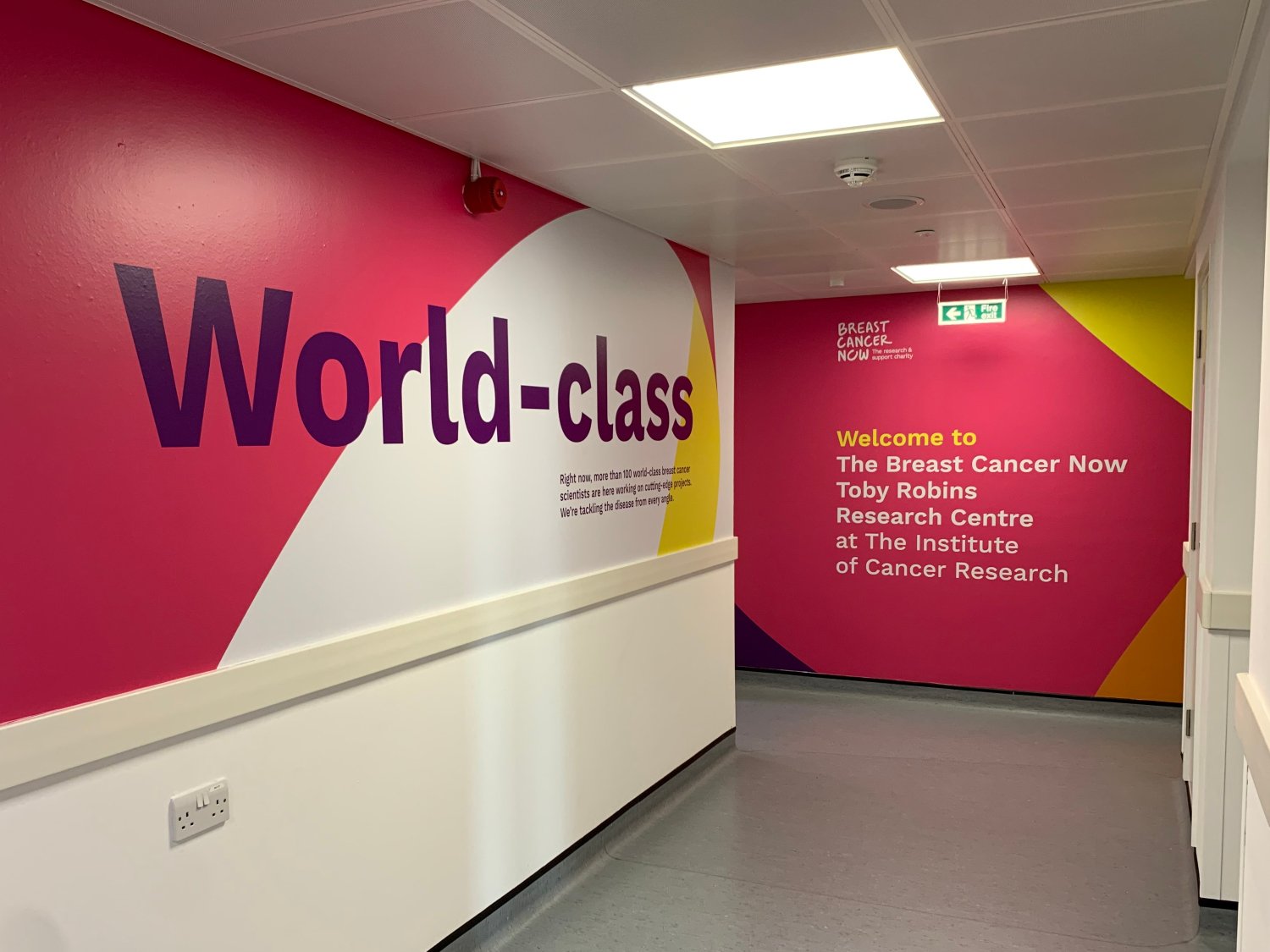 Corridor in the Breast Cancer Now wing, with pink and white painted walls with the word 'world-class' in purple