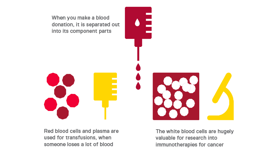 Donated blood sorted into red and white blood cells