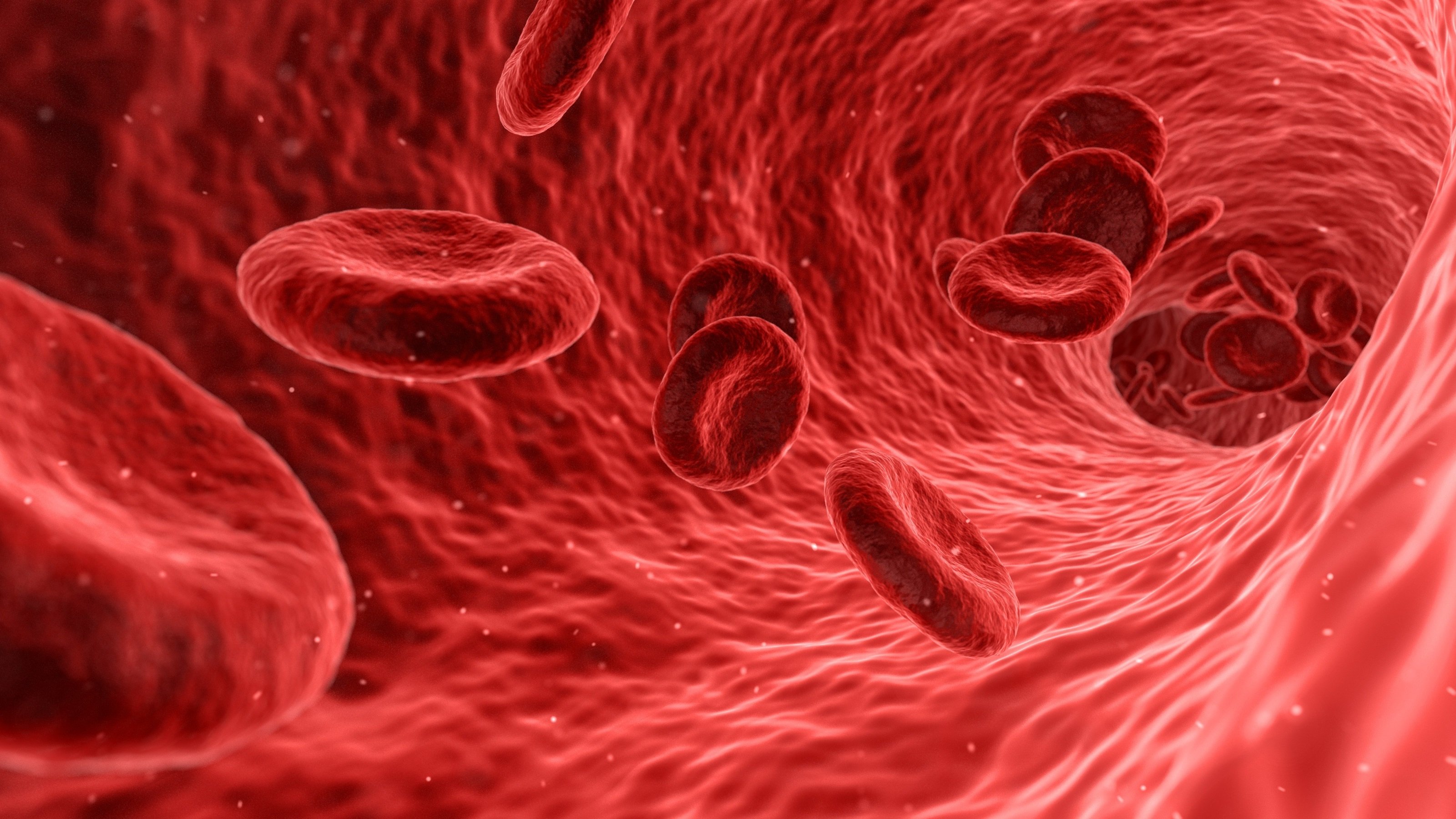 Red blood cells