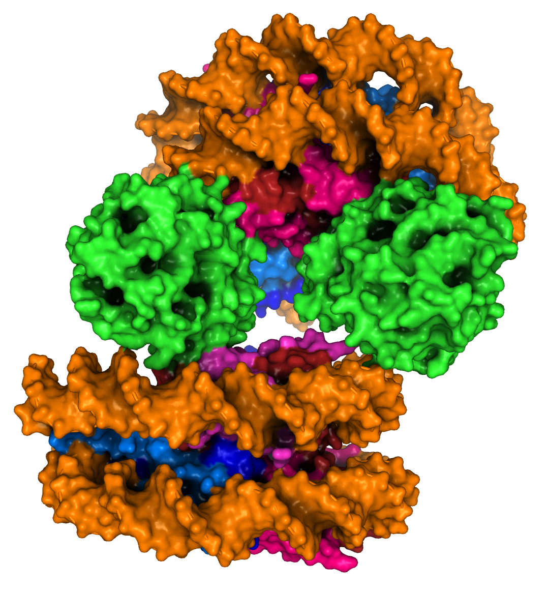 cGAS nucleosome structure cGAS nucleosome structure