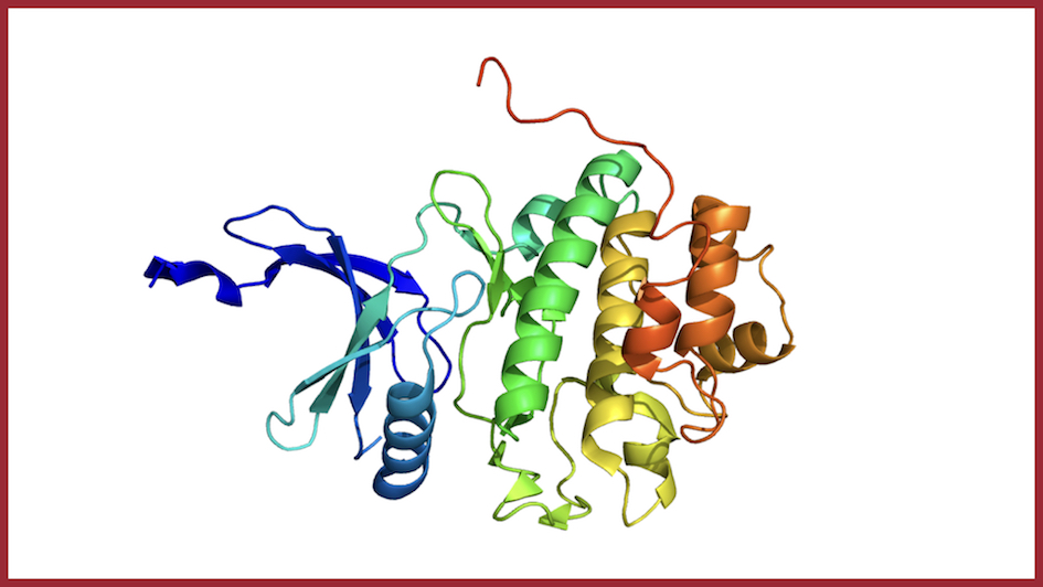 Protein structure of checkpoint kinase 1 (chk1/chek1)