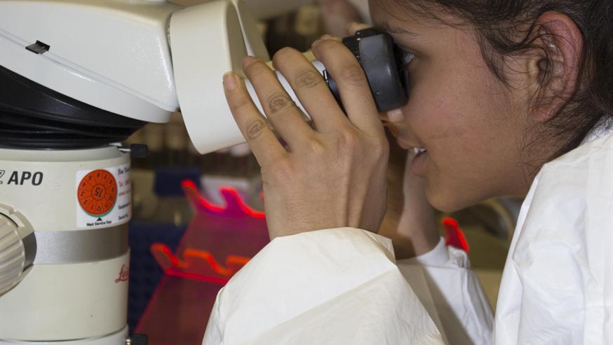 School student looking through microscope