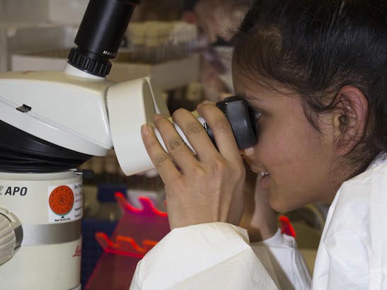 School student using microscope