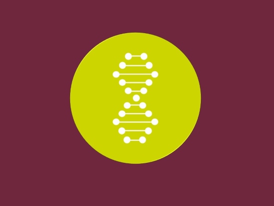 An icon showing a DNA double helix