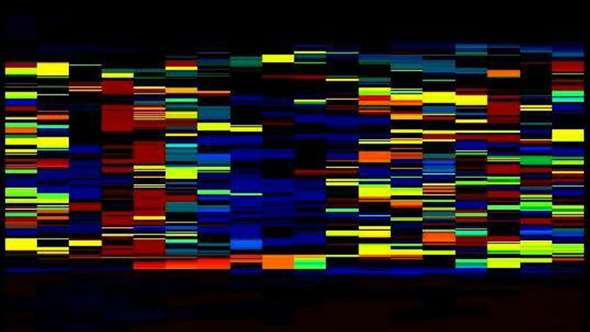 data-rainbow 590x332