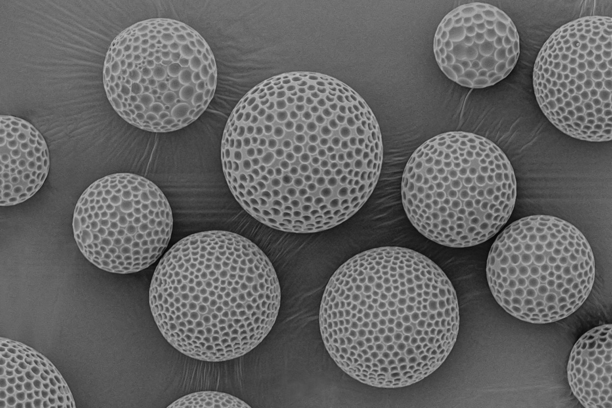 Dimpled 'golf ball-like' microparticles by PhD student Sumana Shrestha