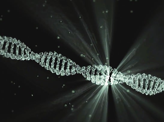 DNA double helix - computer visualisation - 547x410 DNA double helix - computer visualisation