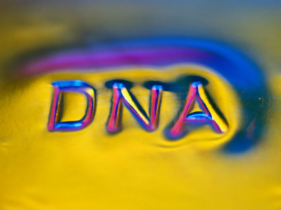 dna