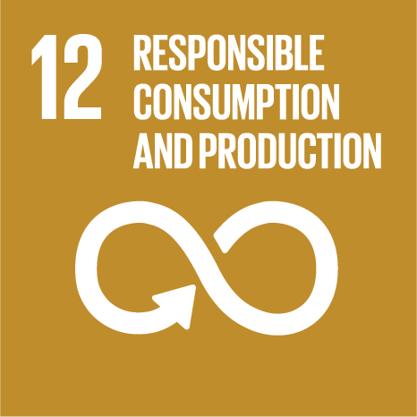 UN Sustainable Development goals - Responsible Consumption and Production