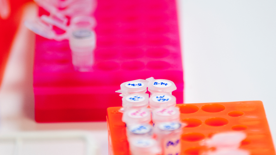 Eppendorf tubes 945x532 Eppendorf tubes 945x532