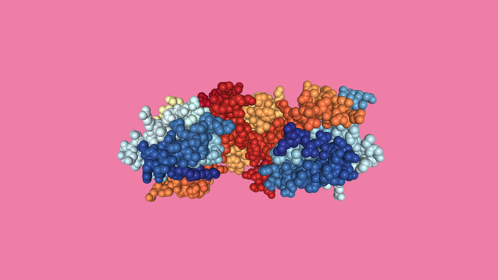 EXD2 protein structure displayed in a spacefill format