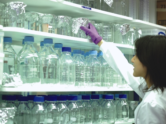 Person reaching for a glass beaker on a shelf filled with glass bottles and beakers