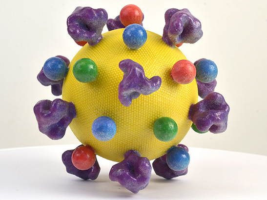 HIV model 547x410px