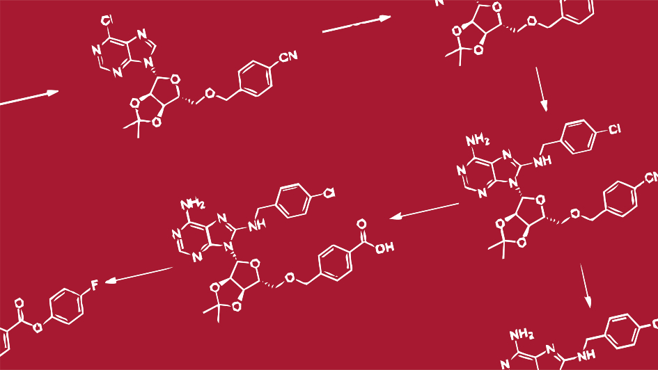 HSP72 target chemical structures