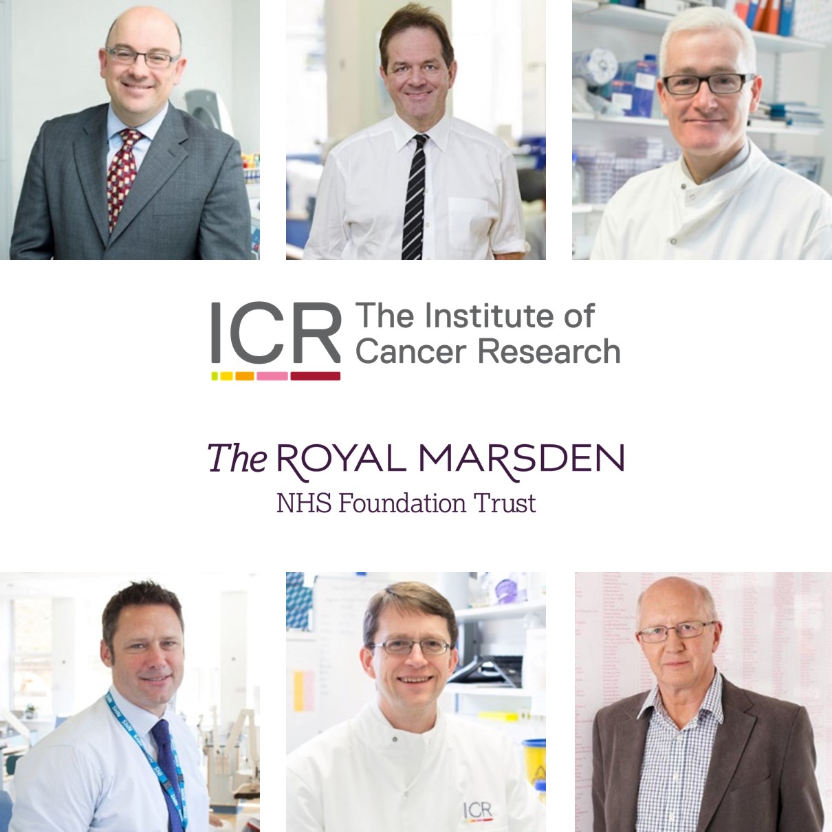 Six researchers at the ICR and The Royal Marsden have been named in a list of the world's most influential.