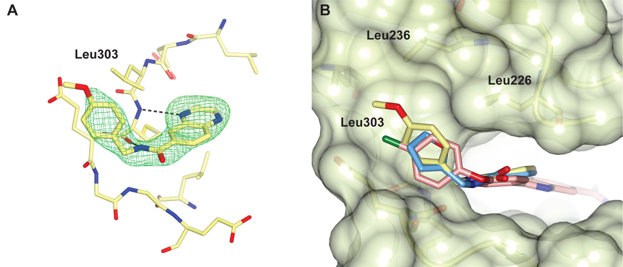 image 2 Fragment-based lead discovery