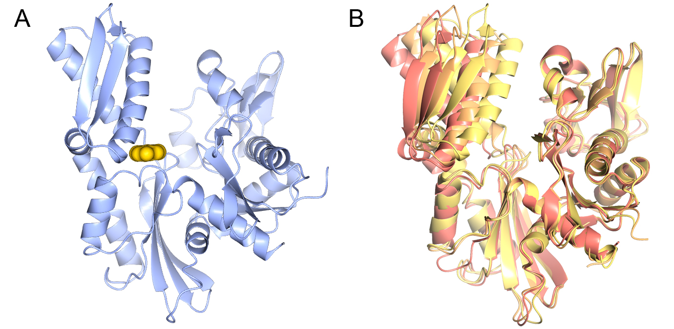 image 3 Fragment-based lead discovery