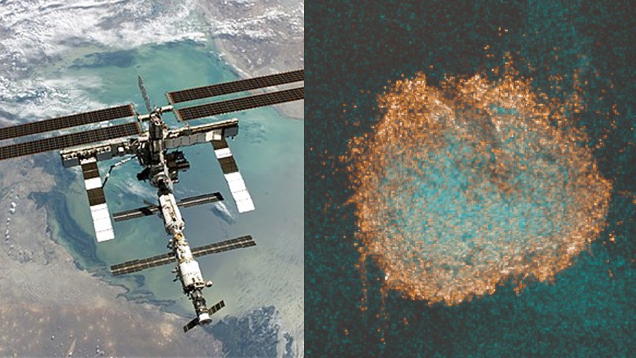 Composite image: the International Space Station and a sample of diffuse midline glioma cells. Credit: public domain / NASA;  Elisa Izquierdo / ICR