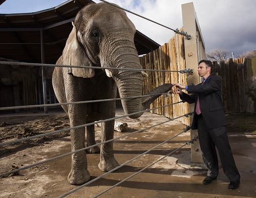 Joshua Schiffman with Elephant (full)