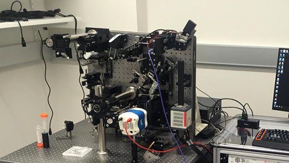 The lattice light sheet microscopy (photo: Intelligent Imaging)