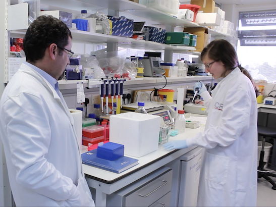 Professor Louis Chesler in research lab