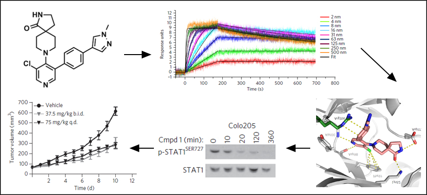 Pharmalogical audit trail for a chemical probe