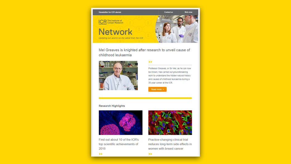 Network enewsletter issue 2 January 2019