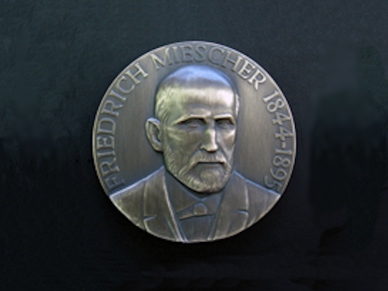 Novartis prize medal