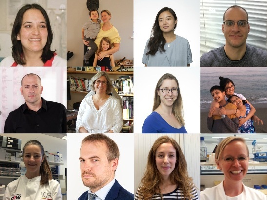 Panel of ICR staff photos from Athena SWAN news story 547x410 Pictures of ICR staff who had case studies that featured in our Athena SWAN report