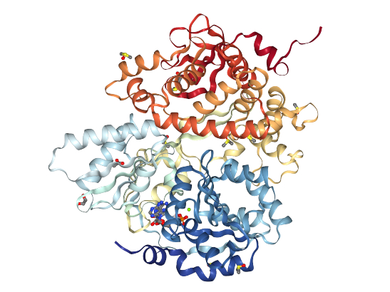 Protein structure of human DHX8 helicase