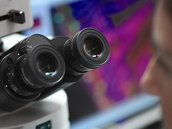 Researcher and a microscope (photo: Clare Turnbull)