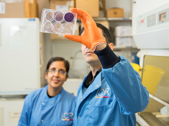 Two ICR researchers in blue lab coats inspect a well plate.