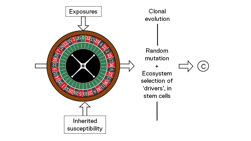 Roulette Wheel