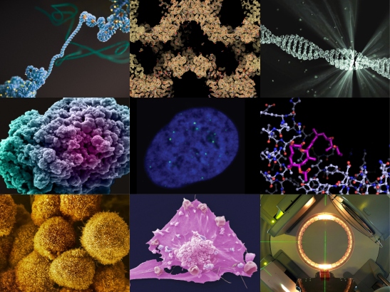 Collage of nine science images of cells, structures and equipment