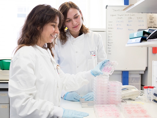 Two female scientists in the lab inspecting cultures