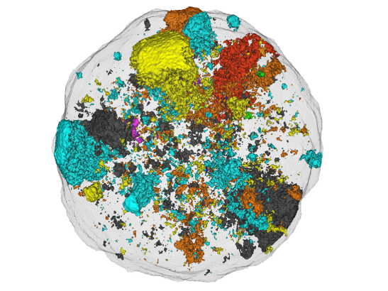 Computational model of brain