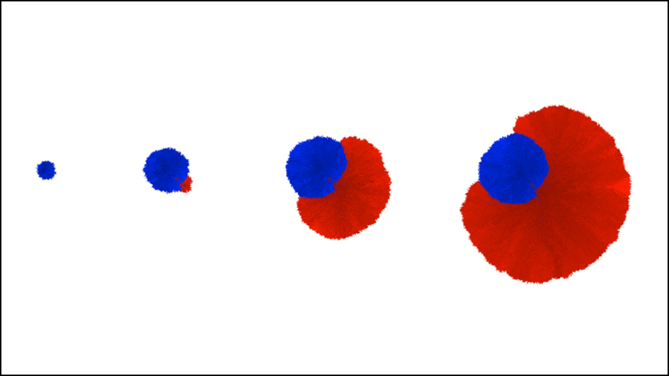 Sottoriva tumour growth model with border 945x532